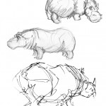 Life Drawings from Zoo